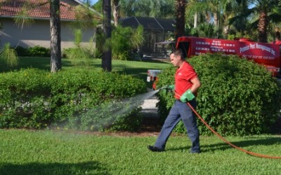 Hot and Cool Month Lawn Maintenance Tips