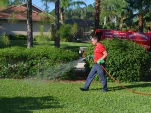 naples landscape pest control
