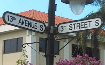 Naples Pest Control Video