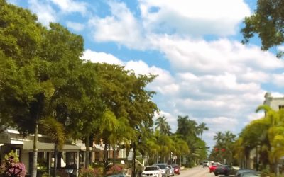 SWFL Do It Yourself Pest Control Tips